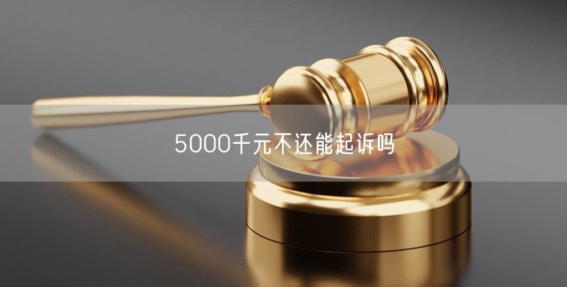 5000千元不还能起诉吗