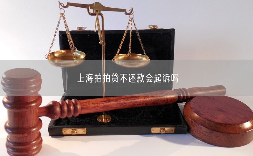 上海拍拍贷不还款会起诉吗