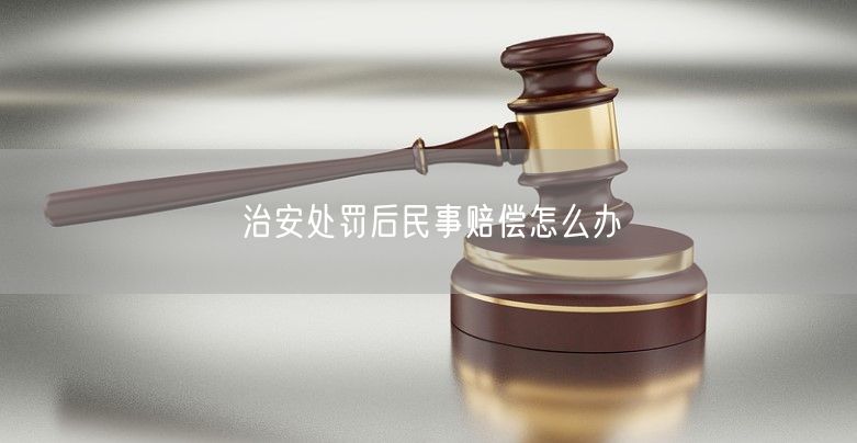 治安处罚后民事赔偿怎么办