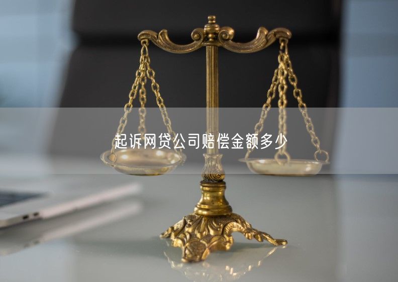 起诉网贷公司赔偿金额多少