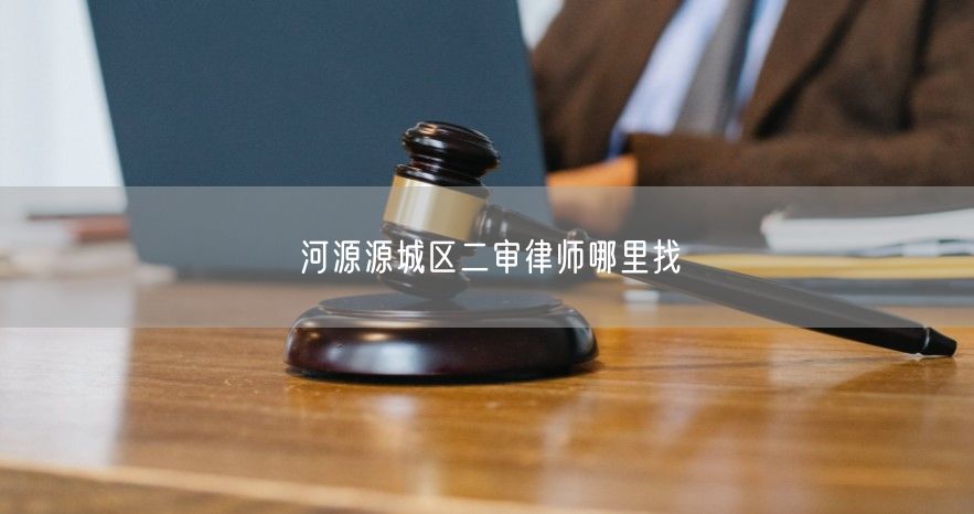 河源源城区二审律师哪里找