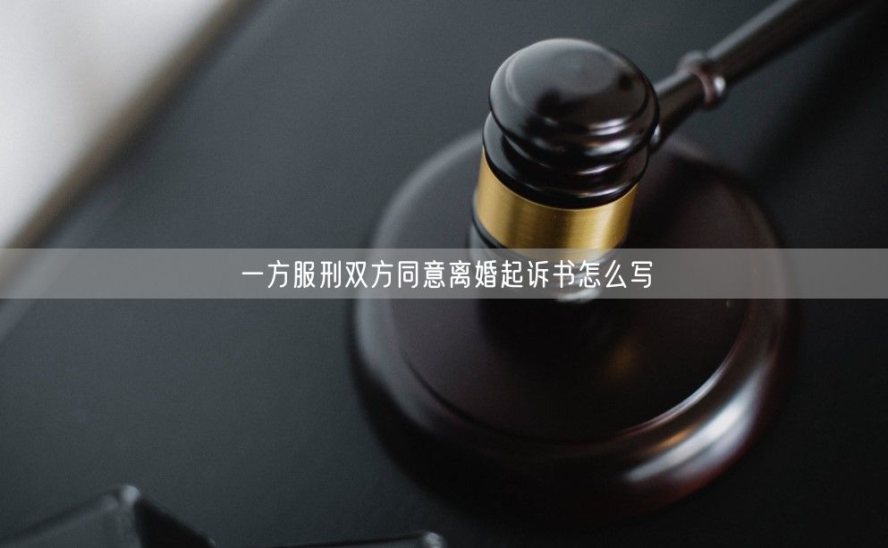 一方服刑双方同意离婚起诉书怎么写