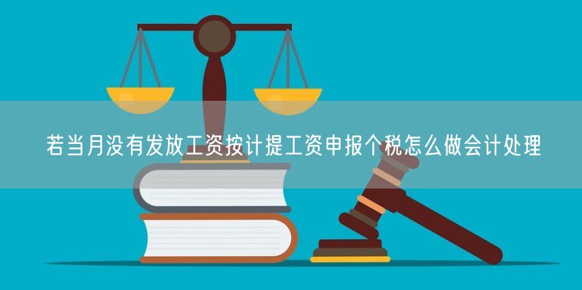 若当月没有发放工资按计提工资申报个税怎么做会计处理