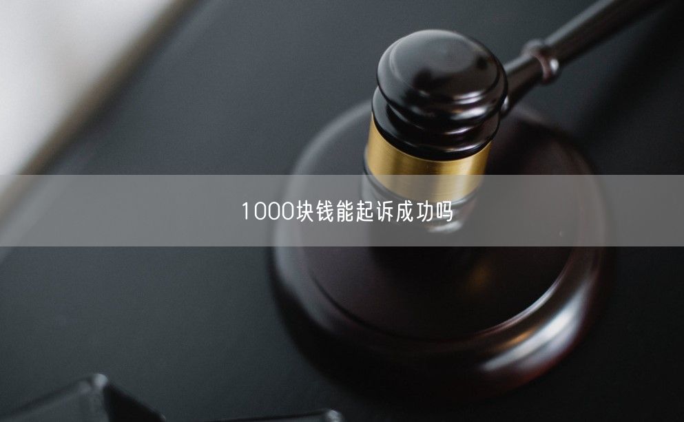 1000块钱能起诉成功吗