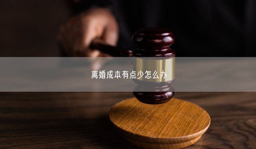 离婚成本有点少怎么办