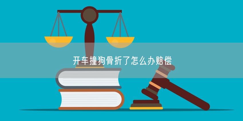 开车撞狗骨折了怎么办赔偿