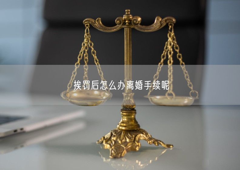 挨罚后怎么办离婚手续呢