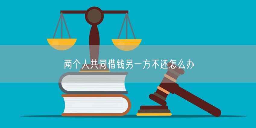 两个人共同借钱另一方不还怎么办