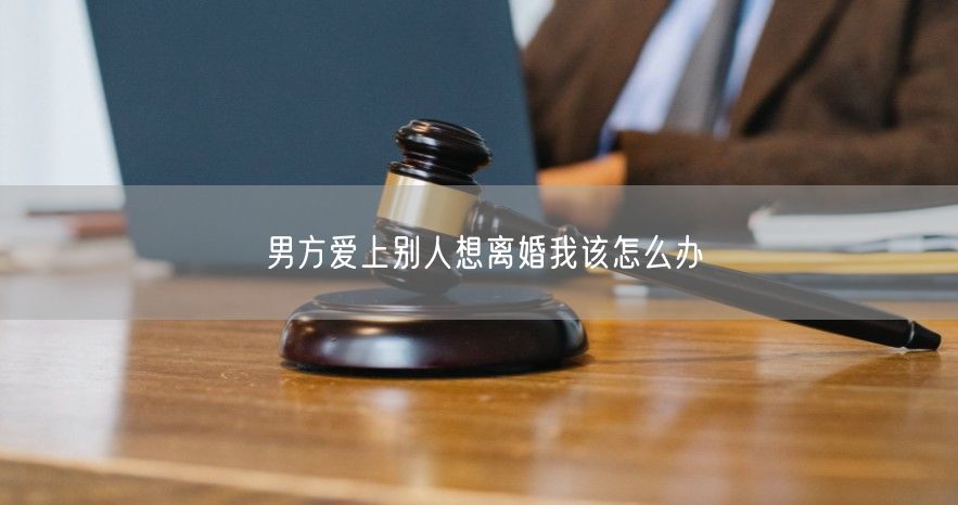 男方爱上别人想离婚我该怎么办