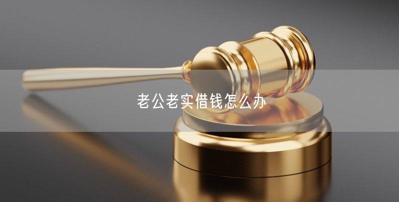 老公老实借钱怎么办