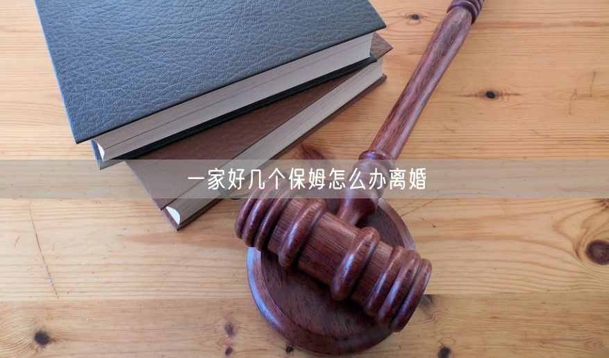 一家好几个保姆怎么办离婚