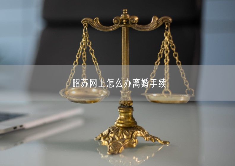 昭苏网上怎么办离婚手续