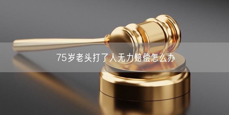 75岁老头打了人无力赔偿怎么办